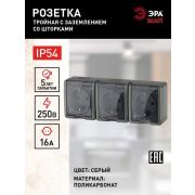 Розетка 3-м ОП Эра Эксперт 11-2406-03 16А IP54 16AX 250В 3х2P+E защ. шторки сер. Эра Б0020723